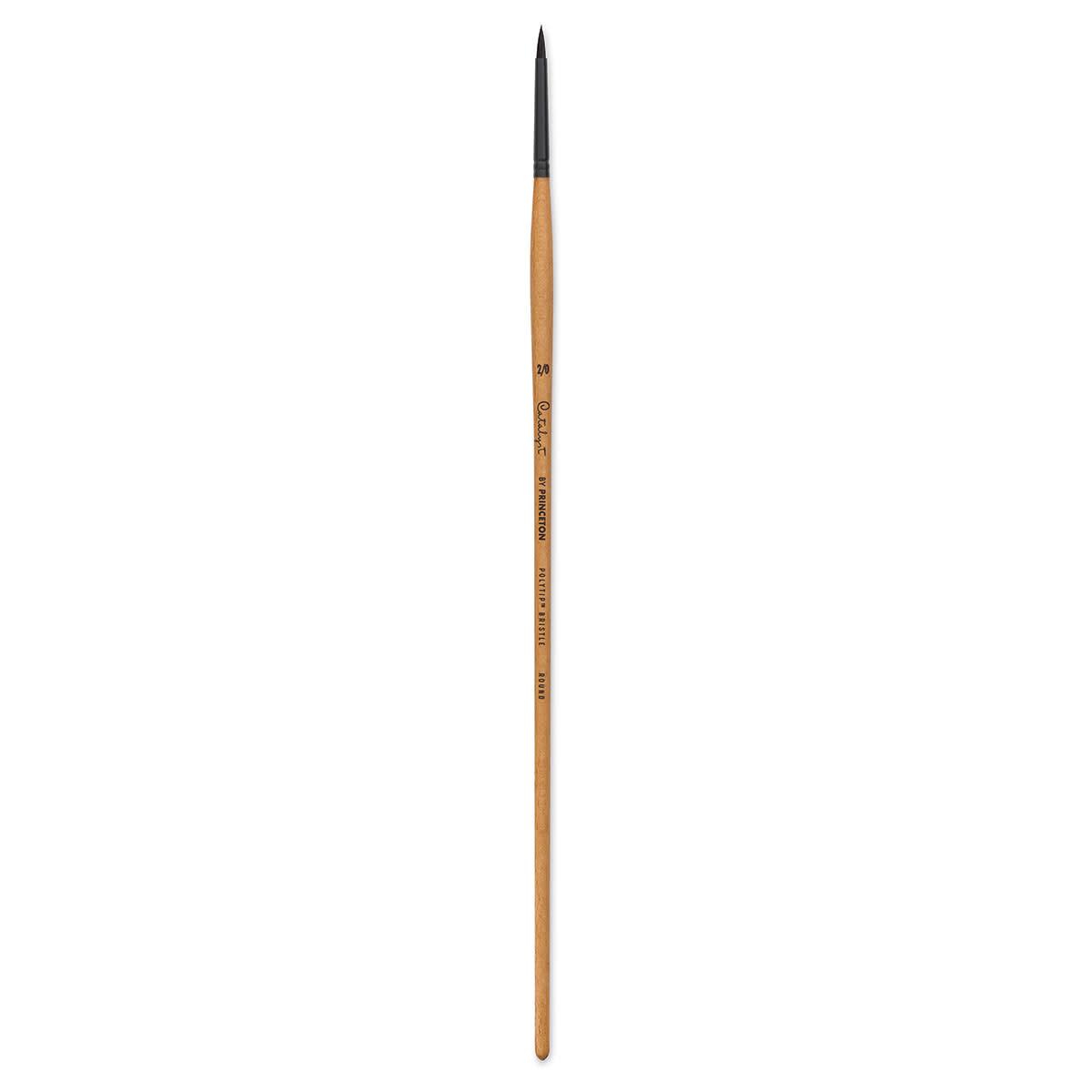 Princeton Catalyst Series 6400 Polytip Bristle Brushes (Long Handle)