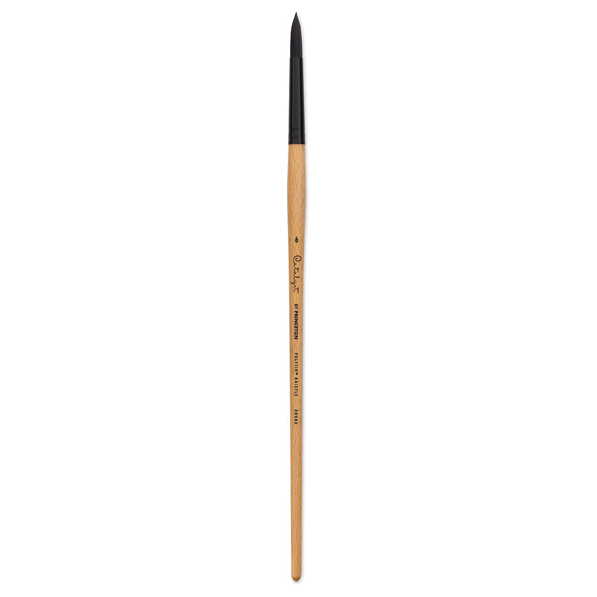Princeton Catalyst Series 6400 Polytip Bristle Brushes (Long Handle)
