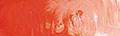 Matisse Structure Permanent Orange S3 colour swatch