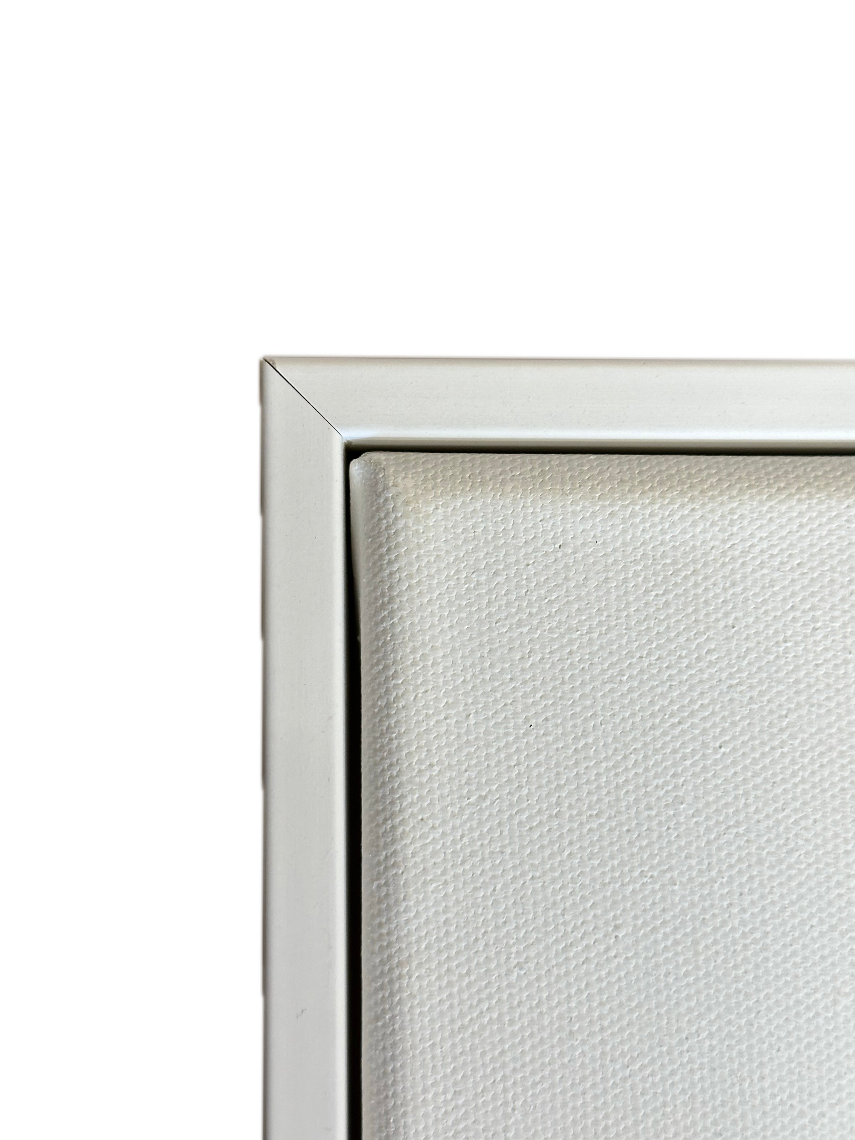Blank Canvas & Floating Frame Set Bundles of 2PC
