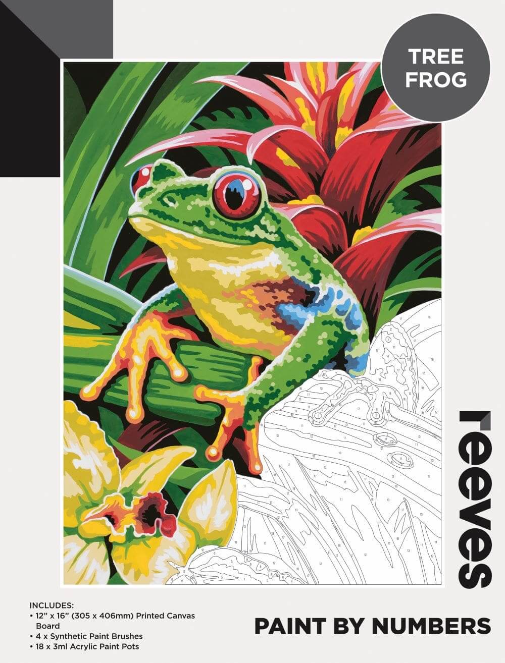 Reeves Paint by Numbers - Art Supplies Australia