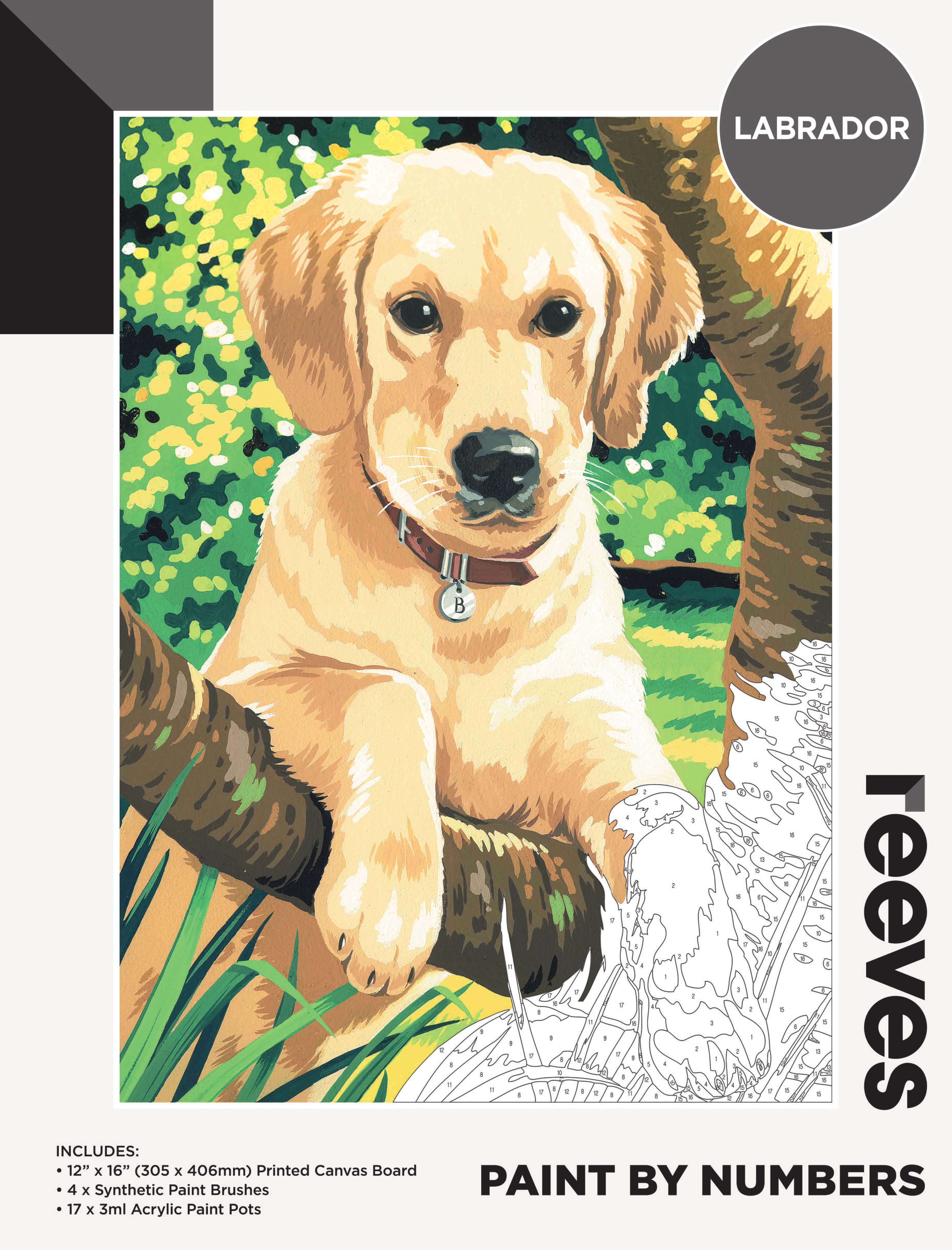 Reeves Paint by Numbers - Art Supplies Australia