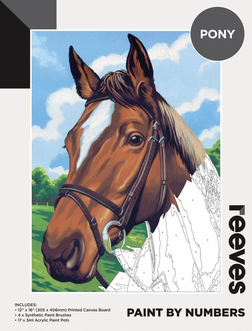 Reeves Paint by Numbers - Art Supplies Australia