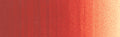 Winsor & Newton Winton Oil Colour 200ml - Art Supplies Australia