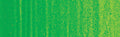 Winsor & Newton Winton Oil Colour 200ml - Art Supplies Australia