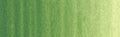 Winsor & Newton Winton Oil Colour 200ml - Art Supplies Australia