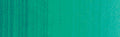Winsor & Newton Winton Oil Colour 200ml - Art Supplies Australia