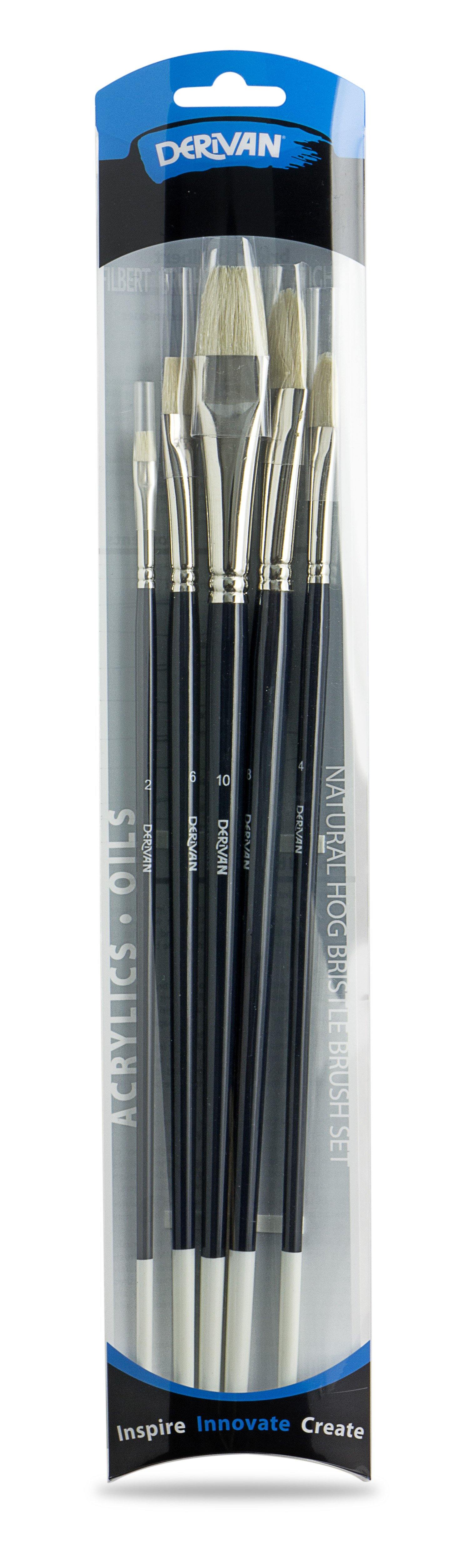 Derivan Professional Long Handle Natural Hog Bristle Brush Set(A) of 5 - Art Supplies Australia