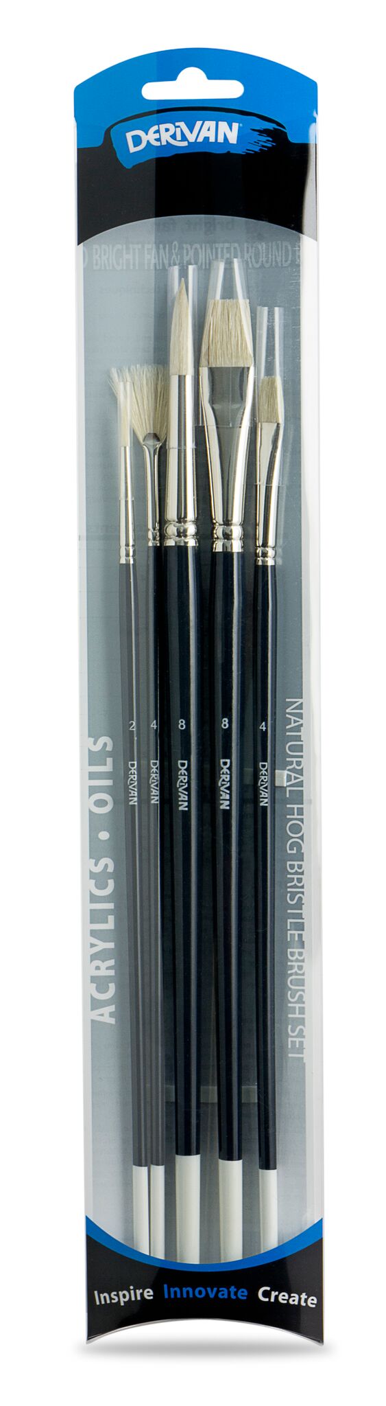 Derivan Professional Long Handle Natural Hog Bristle Brush Set(B) of 5 - Art Supplies Australia