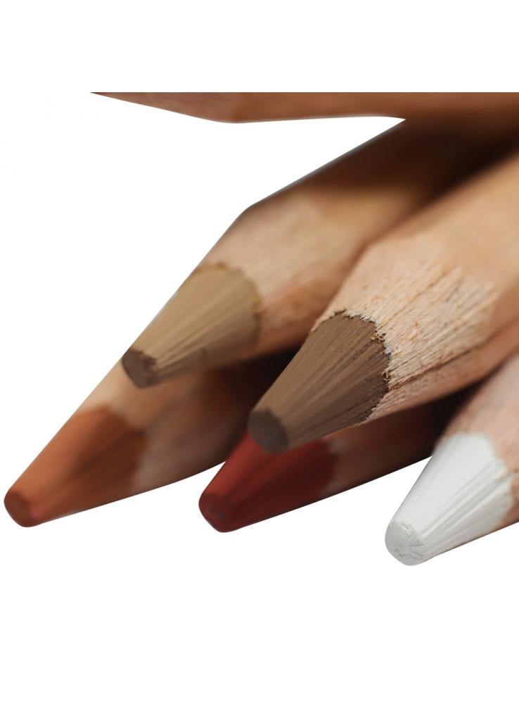 Mont Marte Signature Skin Tints Pastel Pencils 12 Pieces - Art Supplies Australia