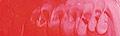 Matisse Flow - 75ml - Art Supplies Australia