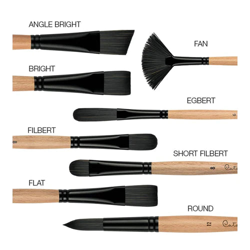 Princeton Catalyst Series 6400 Polytip Bristle Brushes (Long Handle) - Art Supplies Australia
