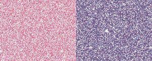 Jacquard Pearl-Ex Powdered Pigment 3g Individual - Art Supplies Australia