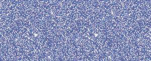 Jacquard Pearl-Ex Powdered Pigment 3g Individual - Art Supplies Australia