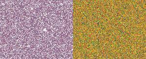 Jacquard Pearl-Ex Powdered Pigment 3g Individual - Art Supplies Australia