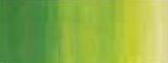 Winsor & Newton Winton Oil Colour 200ml - Art Supplies Australia